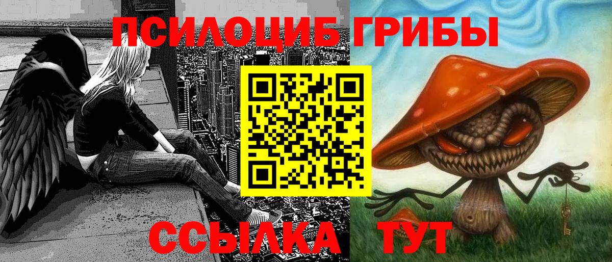 Псилоцибиновые грибы прущие грибы Петропавловск-Камчатский