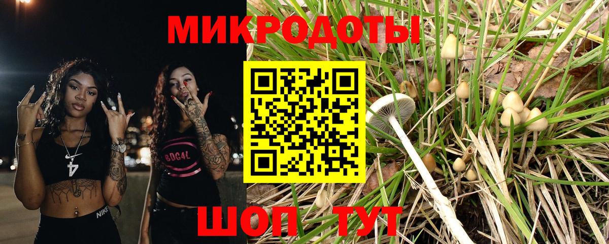 Петропавловск-Камчатский  Галлюциногенные грибы Psilocybe  Вход с VPN  Галлюциногенные грибы мицелий 